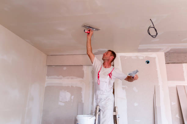 Touch-Up Painting in University, MS